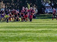 NZL CAN Christchurch 2018APR23 GO Dingoes v AllKyoto 005 : - DATE, - PLACES, - SPORTS, - TRIPS, 10's, 2018, 2018 - Kiwi Kruisin, Alice Springs Dingoes Rugby Union Football Club, All Kyoto Senior Ma-I-Ko, April, Canterbury, Christchurch, Day, Golden Oldies Rugby Union, Japan, Monday, Month, New Zealand, Oceania, Rugby Union, South Hagley Park, Teams, Year