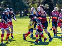 NZL CAN Christchurch 2018APR23 GO Dingoes v AllKyoto 016 : - DATE, - PLACES, - SPORTS, - TRIPS, 10's, 2018, 2018 - Kiwi Kruisin, Alice Springs Dingoes Rugby Union Football Club, All Kyoto Senior Ma-I-Ko, April, Canterbury, Christchurch, Day, Golden Oldies Rugby Union, Japan, Monday, Month, New Zealand, Oceania, Rugby Union, South Hagley Park, Teams, Year