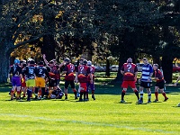 NZL CAN Christchurch 2018APR23 GO Dingoes v AllKyoto 019 : - DATE, - PLACES, - SPORTS, - TRIPS, 10's, 2018, 2018 - Kiwi Kruisin, Alice Springs Dingoes Rugby Union Football Club, All Kyoto Senior Ma-I-Ko, April, Canterbury, Christchurch, Day, Golden Oldies Rugby Union, Japan, Monday, Month, New Zealand, Oceania, Rugby Union, South Hagley Park, Teams, Year