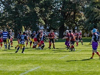 NZL CAN Christchurch 2018APR23 GO Dingoes v AllKyoto 025 : - DATE, - PLACES, - SPORTS, - TRIPS, 10's, 2018, 2018 - Kiwi Kruisin, Alice Springs Dingoes Rugby Union Football Club, All Kyoto Senior Ma-I-Ko, April, Canterbury, Christchurch, Day, Golden Oldies Rugby Union, Japan, Monday, Month, New Zealand, Oceania, Rugby Union, South Hagley Park, Teams, Year
