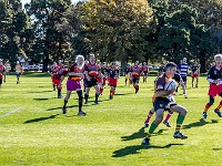 NZL CAN Christchurch 2018APR23 GO Dingoes v AllKyoto 032 : - DATE, - PLACES, - SPORTS, - TRIPS, 10's, 2018, 2018 - Kiwi Kruisin, Alice Springs Dingoes Rugby Union Football Club, All Kyoto Senior Ma-I-Ko, April, Canterbury, Christchurch, Day, Golden Oldies Rugby Union, Japan, Monday, Month, New Zealand, Oceania, Rugby Union, South Hagley Park, Teams, Year