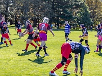 NZL CAN Christchurch 2018APR23 GO Dingoes v AllKyoto 033 : - DATE, - PLACES, - SPORTS, - TRIPS, 10's, 2018, 2018 - Kiwi Kruisin, Alice Springs Dingoes Rugby Union Football Club, All Kyoto Senior Ma-I-Ko, April, Canterbury, Christchurch, Day, Golden Oldies Rugby Union, Japan, Monday, Month, New Zealand, Oceania, Rugby Union, South Hagley Park, Teams, Year