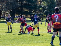 NZL CAN Christchurch 2018APR23 GO Dingoes v AllKyoto 038 : - DATE, - PLACES, - SPORTS, - TRIPS, 10's, 2018, 2018 - Kiwi Kruisin, Alice Springs Dingoes Rugby Union Football Club, All Kyoto Senior Ma-I-Ko, April, Canterbury, Christchurch, Day, Golden Oldies Rugby Union, Japan, Monday, Month, New Zealand, Oceania, Rugby Union, South Hagley Park, Teams, Year