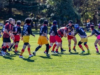 NZL CAN Christchurch 2018APR23 GO Dingoes v AllKyoto 039 : - DATE, - PLACES, - SPORTS, - TRIPS, 10's, 2018, 2018 - Kiwi Kruisin, Alice Springs Dingoes Rugby Union Football Club, All Kyoto Senior Ma-I-Ko, April, Canterbury, Christchurch, Day, Golden Oldies Rugby Union, Japan, Monday, Month, New Zealand, Oceania, Rugby Union, South Hagley Park, Teams, Year