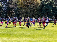 NZL CAN Christchurch 2018APR23 GO Dingoes v AllKyoto 050 : - DATE, - PLACES, - SPORTS, - TRIPS, 10's, 2018, 2018 - Kiwi Kruisin, Alice Springs Dingoes Rugby Union Football Club, All Kyoto Senior Ma-I-Ko, April, Canterbury, Christchurch, Day, Golden Oldies Rugby Union, Japan, Monday, Month, New Zealand, Oceania, Rugby Union, South Hagley Park, Teams, Year