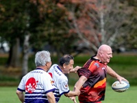 NZL CAN Christchurch 2018APR27 GO Dingoes v GunmaWakuwaku 008 : - DATE, - PLACES, - SPORTS, - TRIPS, 10's, 2018, 2018 - Kiwi Kruisin, 2018 Christchurch Golden Oldies, Alice Springs Dingoes Rugby Union Football Club, April, Canterbury, Christchurch, Day, Friday, Golden Oldies Rugby Union, Gunma Wakuwaku, Japan, Month, New Zealand, Oceania, Rugby Union, South Hagley Park, Teams, Year
