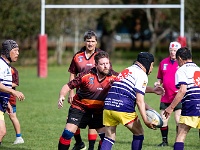 NZL CAN Christchurch 2018APR27 GO Dingoes v GunmaWakuwaku 056 : - DATE, - PLACES, - SPORTS, - TRIPS, 10's, 2018, 2018 - Kiwi Kruisin, 2018 Christchurch Golden Oldies, Alice Springs Dingoes Rugby Union Football Club, April, Canterbury, Christchurch, Day, Friday, Golden Oldies Rugby Union, Gunma Wakuwaku, Japan, Month, New Zealand, Oceania, Rugby Union, South Hagley Park, Teams, Year