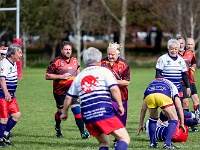 NZL CAN Christchurch 2018APR27 GO Dingoes v GunmaWakuwaku 057 : - DATE, - PLACES, - SPORTS, - TRIPS, 10's, 2018, 2018 - Kiwi Kruisin, 2018 Christchurch Golden Oldies, Alice Springs Dingoes Rugby Union Football Club, April, Canterbury, Christchurch, Day, Friday, Golden Oldies Rugby Union, Gunma Wakuwaku, Japan, Month, New Zealand, Oceania, Rugby Union, South Hagley Park, Teams, Year