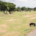 MWI CEN Nkotakata 2016DEC11 RoadM18 004 : 2016, 2016 - African Adventures, Africa, Central, Date, December, Eastern, M18, Malawi, Month, Nkotakata, Places, Trips, Year