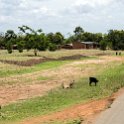 MWI CEN Nkotakata 2016DEC11 RoadM18 005 : 2016, 2016 - African Adventures, Africa, Central, Date, December, Eastern, M18, Malawi, Month, Nkotakata, Places, Trips, Year