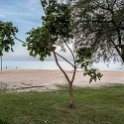 MWI CEN Dwangwa 2016DEC11 NgalaLodge 003 : 2016, 2016 - African Adventures, Africa, Central, Date, December, Dwangwa, Eastern, Malawi, Month, Ngala Beach Lodge, Nkotakata, Places, Trips, Year