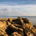 MWI CEN Dwangwa 2016DEC12 NgalaLodge 012 : 2016, 2016 - African Adventures, Africa, Central, Date, December, Dwangwa, Eastern, Malawi, Month, Ngala Beach Lodge, Nkotakata, Places, Trips, Year