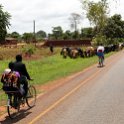 MWI CEN Kamilangombi 2016DEC11 RoadM12 002 : 2016, 2016 - African Adventures, Africa, Central, Date, December, Eastern, Kamilangombi, M12, Malawi, Month, Places, Trips, Year