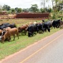 MWI CEN Kamilangombi 2016DEC11 RoadM12 003 : 2016, 2016 - African Adventures, Africa, Central, Date, December, Eastern, Kamilangombi, M12, Malawi, Month, Places, Trips, Year