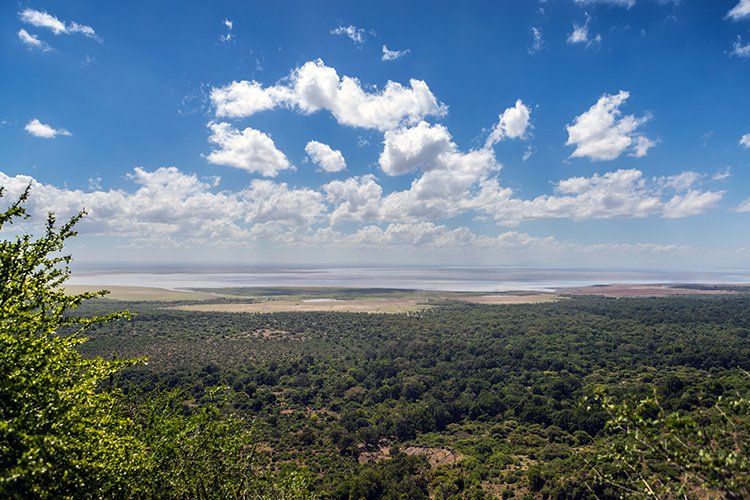 TZA ARU LakeManyara 2016DEC23 RoadB144 002