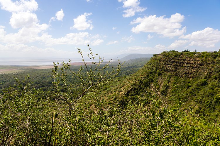 TZA ARU LakeManyara 2016DEC23 RoadB144 003