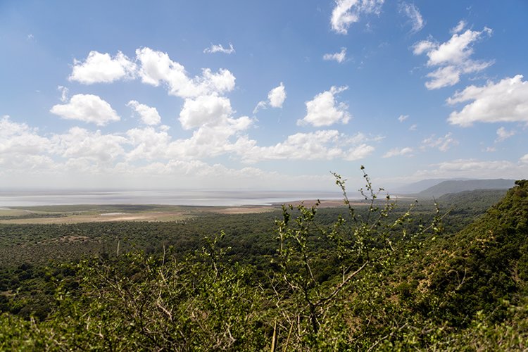 TZA ARU LakeManyara 2016DEC23 RoadB144 005