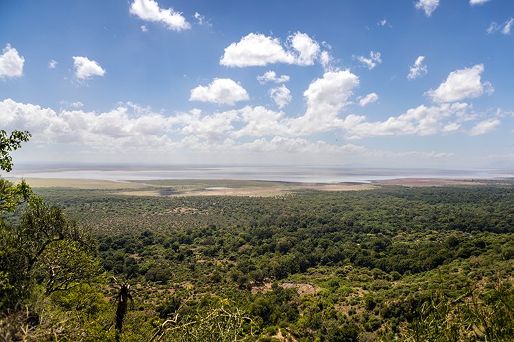 TZA ARU LakeManyara 2016DEC23 RoadB144 006