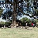 TZA ARU Ngorongoro 2016DEC23 023 : 2016, 2016 - African Adventures, Africa, Arusha, Date, December, Eastern, Month, Ngorongoro, Places, Tanzania, Trips, Year