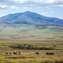 TZA_ARU_Ngorongoro_2016DEC23_041.jpg