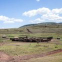 TZA ARU Ngorongoro 2016DEC23 046 : 2016, 2016 - African Adventures, Africa, Arusha, Date, December, Eastern, Month, Ngorongoro, Places, Tanzania, Trips, Year