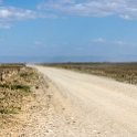 TZA ARU Ngorongoro 2016DEC23 073 : 2016, 2016 - African Adventures, Africa, Arusha, Date, December, Eastern, Month, Ngorongoro, Places, Tanzania, Trips, Year