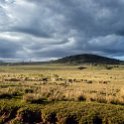 TZA ARU Ngorongoro 2016DEC25 010 : 2016, 2016 - African Adventures, Africa, Arusha, Date, December, Eastern, Month, Ngorongoro, Places, Tanzania, Trips, Year