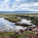 TZA ARU Ngorongoro 2016DEC26 Crater 013 : 2016, 2016 - African Adventures, Africa, Arusha, Crater, Date, December, Eastern, Mandusi Hippo Pool, Month, Ngorongoro, Places, Tanzania, Trips, Year