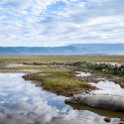 TZA ARU Ngorongoro 2016DEC26 Crater 016 : 2016, 2016 - African Adventures, Africa, Arusha, Crater, Date, December, Eastern, Mandusi Hippo Pool, Month, Ngorongoro, Places, Tanzania, Trips, Year