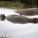 TZA ARU Ngorongoro 2016DEC26 Crater 028 : 2016, 2016 - African Adventures, Africa, Arusha, Crater, Date, December, Eastern, Mandusi Hippo Pool, Month, Ngorongoro, Places, Tanzania, Trips, Year