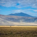 TZA ARU Ngorongoro 2016DEC26 Crater 053 : 2016, 2016 - African Adventures, Africa, Arusha, Crater, Date, December, Eastern, Month, Ngorongoro, Places, Tanzania, Trips, Year