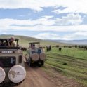 TZA ARU Ngorongoro 2016DEC26 Crater 058 : 2016, 2016 - African Adventures, Africa, Arusha, Crater, Date, December, Eastern, Month, Ngorongoro, Places, Tanzania, Trips, Year