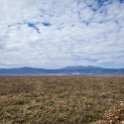 TZA ARU Ngorongoro 2016DEC26 Crater 074 : 2016, 2016 - African Adventures, Africa, Arusha, Crater, Date, December, Eastern, Month, Ngorongoro, Places, Tanzania, Trips, Year