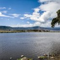 TZA ARU Ngorongoro 2016DEC26 Crater 087 : 2016, 2016 - African Adventures, Africa, Arusha, Crater, Date, December, Eastern, Month, Ngoitokitok Picnic Area, Ngorongoro, Places, Tanzania, Trips, Year