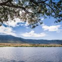 TZA ARU Ngorongoro 2016DEC26 Crater 090 : 2016, 2016 - African Adventures, Africa, Arusha, Crater, Date, December, Eastern, Month, Ngoitokitok Picnic Area, Ngorongoro, Places, Tanzania, Trips, Year