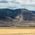 TZA ARU Ngorongoro 2016DEC26 Crater 096 : 2016, 2016 - African Adventures, Africa, Arusha, Crater, Date, December, Eastern, Month, Ngorongoro, Places, Tanzania, Trips, Year