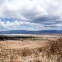 TZA ARU Ngorongoro 2016DEC26 Crater 103 : 2016, 2016 - African Adventures, Africa, Arusha, Crater, Date, December, Eastern, Month, Ngorongoro, Places, Tanzania, Trips, Year