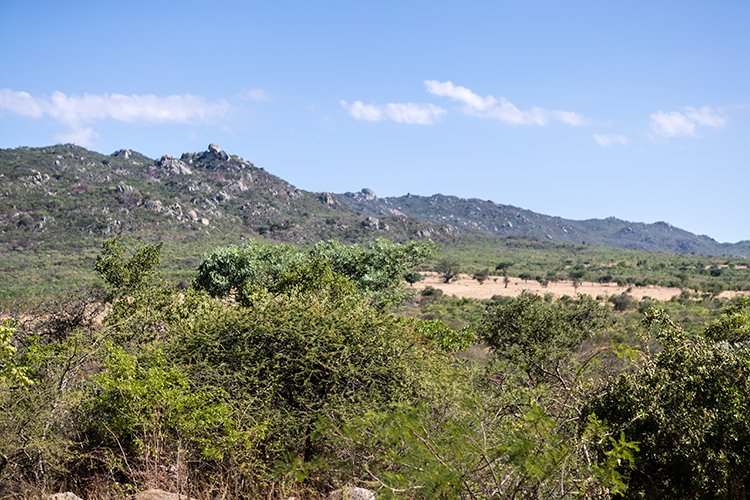 TZA IRI Lugalo 2016DEC16 001