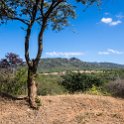 TZA IRI Lugalo 2016DEC16 003 : 2016, 2016 - African Adventures, Africa, Date, December, Eastern, Iringa, Lugalo, Month, Places, Tanzania, Trips, Year