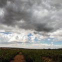 TZA KIL Mwanga 2016DEC22 RoadB1 002 : 2016, 2016 - African Adventures, Africa, Date, December, Eastern, Kilimanjaro, Month, Mwanga, Places, Tanzania, Trips, Year