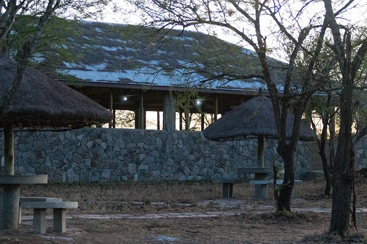 TZA MAR SerengetiNP 2016DEC23 Nguchiro 001