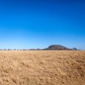 TZA MAR SerengetiNP 2016DEC24 LemalaEwanjan 002 : 2016, 2016 - African Adventures, Africa, Date, December, Eastern, Lemala Ewanjan Camp, Mara, Month, Places, Serengeti National Park, Tanzania, Trips, Year