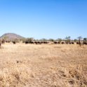 TZA MAR SerengetiNP 2016DEC24 LemalaEwanjan 019 : 2016, 2016 - African Adventures, Africa, Date, December, Eastern, Lemala Ewanjan Camp, Mara, Month, Places, Serengeti National Park, Tanzania, Trips, Year