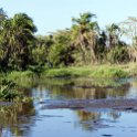 TZA MAR SerengetiNP 2016DEC24 LemalaEwanjan 025 : 2016, 2016 - African Adventures, Africa, Date, December, Eastern, Lemala Ewanjan Camp, Mara, Month, Places, Serengeti National Park, Tanzania, Trips, Year