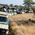 TZA MAR SerengetiNP 2016DEC24 LemalaEwanjan 037 : 2016, 2016 - African Adventures, Africa, Date, December, Eastern, Lemala Ewanjan Camp, Mara, Month, Places, Serengeti National Park, Tanzania, Trips, Year