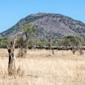 TZA MAR SerengetiNP 2016DEC24 LemalaEwanjan 069 : 2016, 2016 - African Adventures, Africa, Date, December, Eastern, Lemala Ewanjan Camp, Mara, Month, Places, Serengeti National Park, Tanzania, Trips, Year
