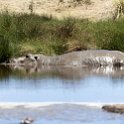 TZA MAR SerengetiNP 2016DEC24 RoadB144 009 : 2016, 2016 - African Adventures, Africa, Date, December, Eastern, Mara, Month, Places, Road B144, Serengeti National Park, Tanzania, Trips, Year