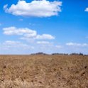 TZA MAR SerengetiNP 2016DEC24 SeroneraSouth 006 : 2016, 2016 - African Adventures, Africa, Date, December, Eastern, Mara, Month, Places, Serengeti National Park, Seronera, Tanzania, Trips, Year