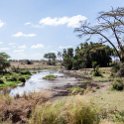 TZA MAR SerengetiNP 2016DEC24 SeroneraWest 002 : 2016, 2016 - African Adventures, Africa, Date, December, Eastern, Mara, Month, Places, Serengeti National Park, Seronera, Tanzania, Trips, Year