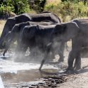 TZA MAR SerengetiNP 2016DEC24 SeroneraWest 010 : 2016, 2016 - African Adventures, Africa, Date, December, Eastern, Mara, Month, Places, Serengeti National Park, Seronera, Tanzania, Trips, Year